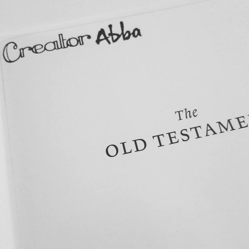 31114199_10214219936405908_233410093408336136_n