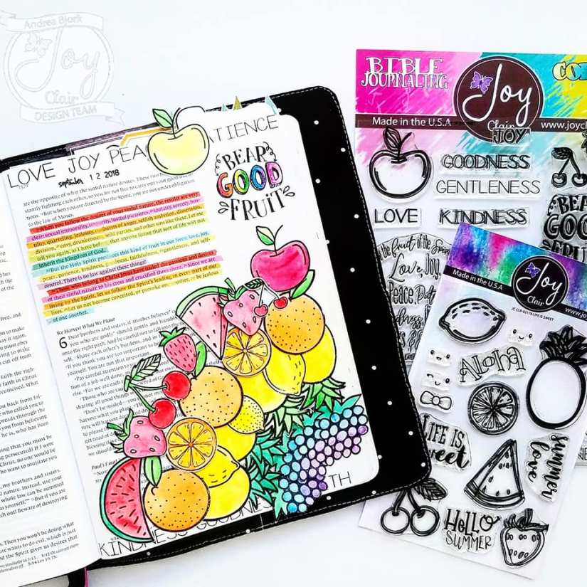 41948296_10215285785851478_8868404010726457344_n