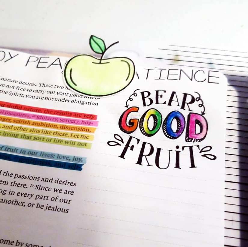 41985812_10215285790171586_5034928171837816832_n