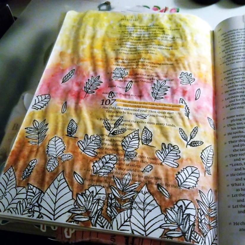 42603564_10215360651763079_4671050154449567744_n