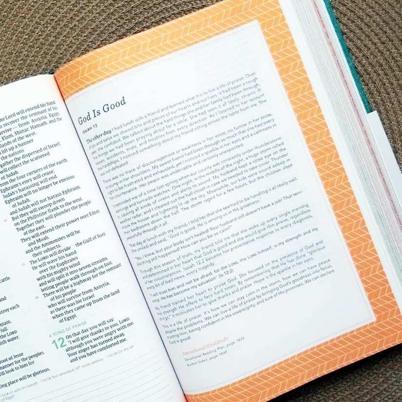 50253117_10216188920389277_4355901049295339520_n