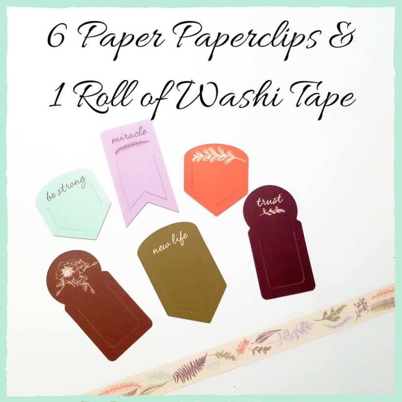 50255239_10216188912109070_1441841605261656064_n