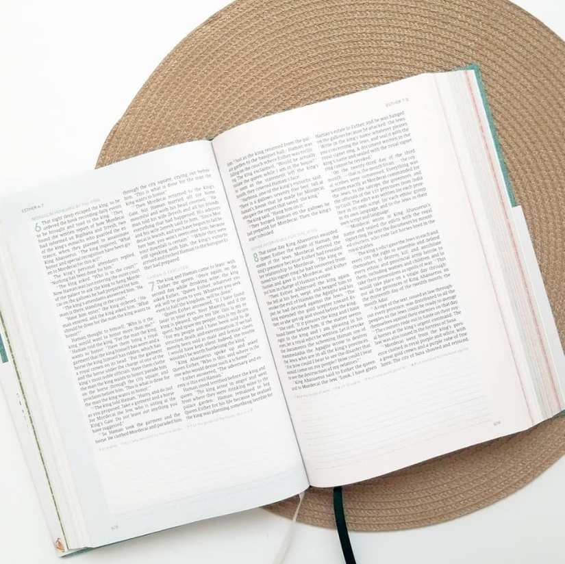 50396443_10216188921669309_2867634992207364096_n