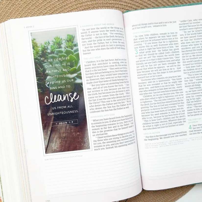 50494704_10216188919109245_2312871409660985344_n