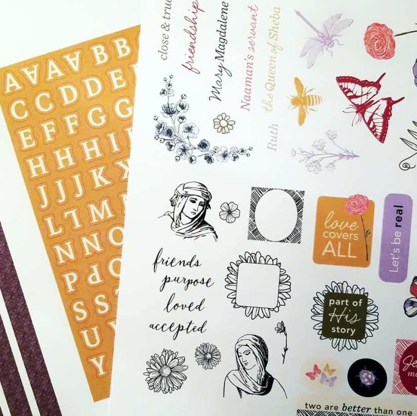 53030484_10216414965680268_5730440109006782464_n